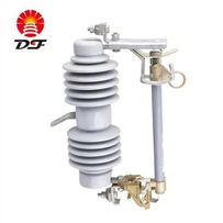 चीनी मिट्टी के बरतन फ्यूज कटआउट